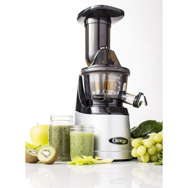 Omega MegaMouth Compact Masticating Vertical Juicer & Reviews Wayfair